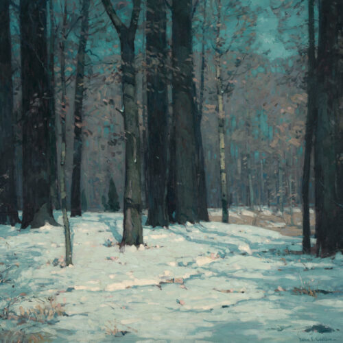 Woods In Winter
