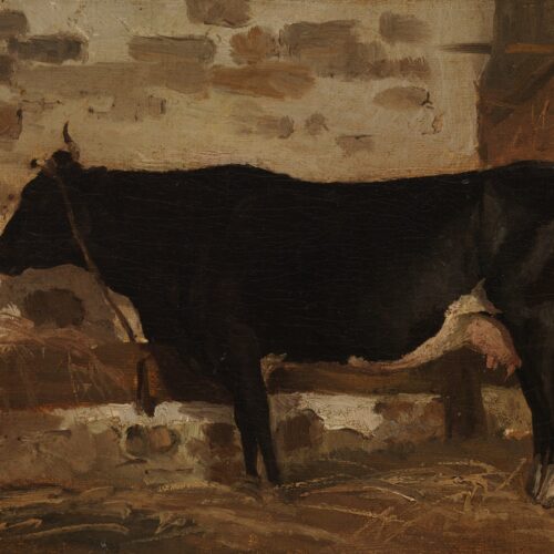 Cow in a Barn