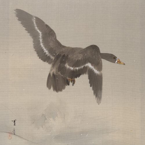 Flying Goose