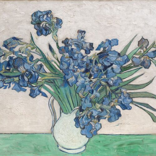 Irises