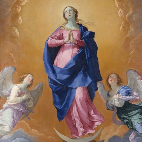 The Immaculate Conception